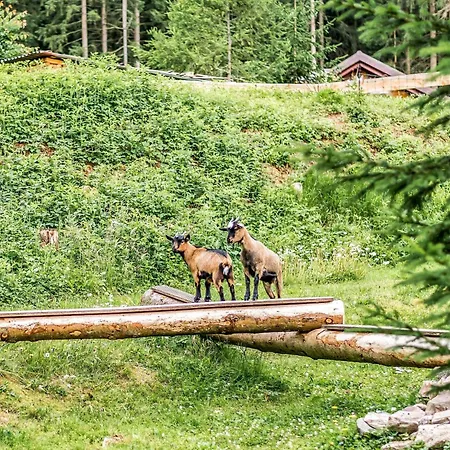 Retreat With Sauna, Hot Tub