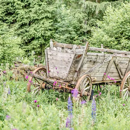 Retreat With Sauna, Hot Tub Apartment *