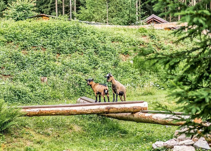 Retreat With Sauna, Hot Tub