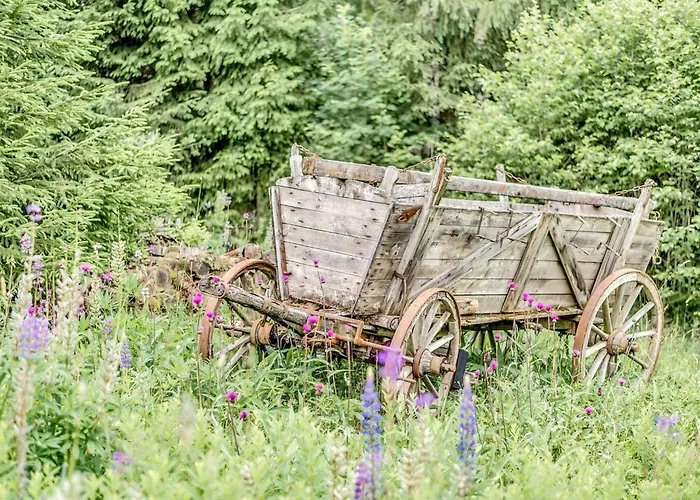 Retreat With Sauna, Hot Tub Apartment *